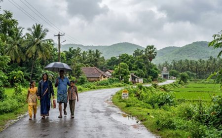 அடுத்த 7 நாட்களுக்கு மிதமான மழைக்கு வாய்ப்பு: வானிலை ஆய்வு மையம் 