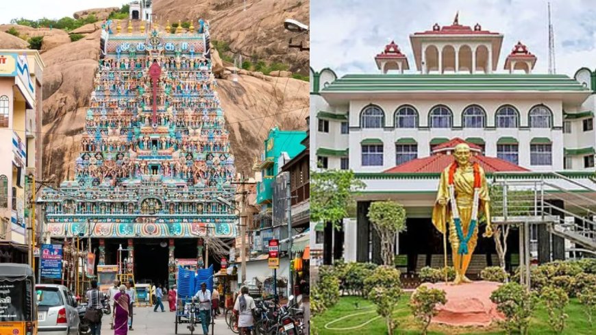 திருப்பரங்குன்றம் தீபம் ஏற்ற கோரி வழக்கு: “நீதிமன்றத்திற்கு வேறு வேலை இல்லையா” மனுதாரிடம் நீதிபதிகள் காட்டம் 