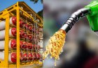 பெட்ரோல், டீசல் தொடர்ந்து சிஎன்ஜி எரிவாயு விலையும் உயர்வு 