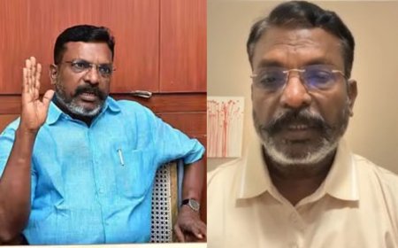 விசிகவினர் சில தொகுதிகளில் தேர்தல் பணி செய்யவில்லை: வீடியோ வெளியிட்டு திருமாவளவன் வேதனை 