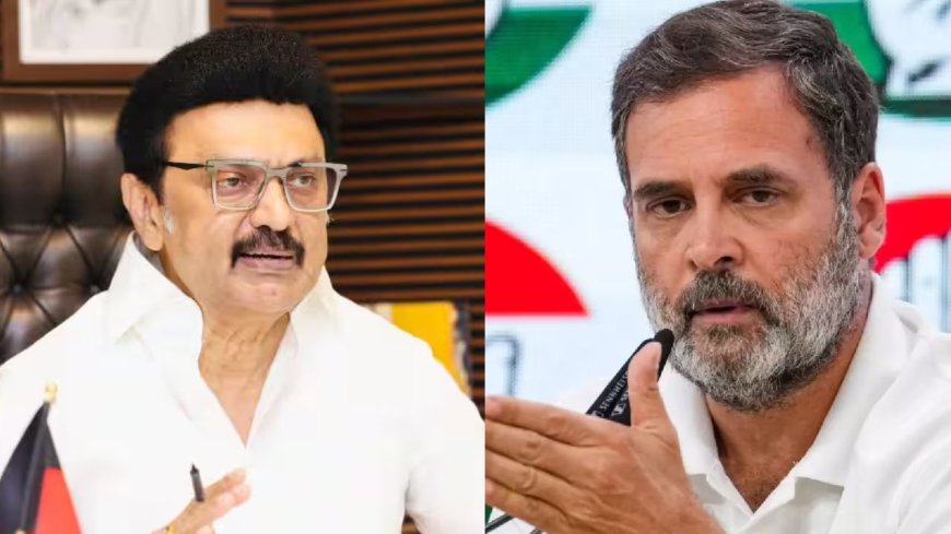 திமுக-காங்கிரஸ் கூட்டணி டமால்?  விஜய்க்காக இடதுசாரி தலைவர்களுடன் பேசும் ராகுல்