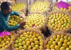 பூச்சிகொல்லி மருந்து புகார்: இந்திய மாம்பழங்களுக்கு நேபாளத்தில் தடை