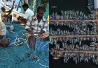 மீன்பிடி தடைக்காலம் நாளையுடன் நிறைவு: கடலுக்கு செல்ல தயாராகும் மீனவர்கள் 