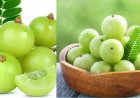தினமும் ஒரு நெல்லிக்காய்... ஆயுள் முழுவதும் ஆரோக்கியம்!