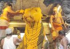 திருவண்ணாமலையில் ஆனி மாத சனி மகா பிரதோஷம் வழிபாடு!