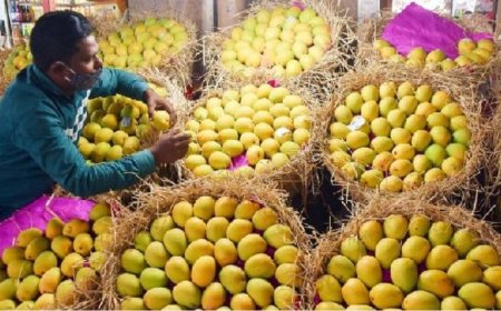 பூச்சிகொல்லி மருந்து புகார்: இந்திய மாம்பழங்களுக்கு நேபாளத்தில் தடை