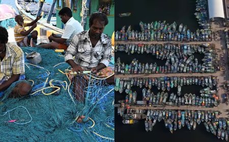 மீன்பிடி தடைக்காலம் நாளையுடன் நிறைவு: கடலுக்கு செல்ல தயாராகும் மீனவர்கள் 