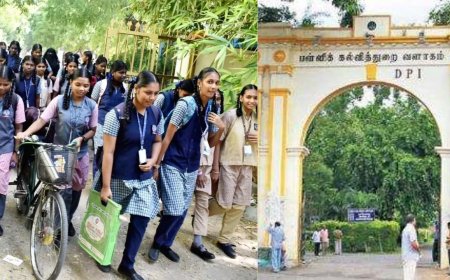 நடப்பாண்டில் அரசு பள்ளிகளுக்கு 155 நாட்கள் லீவு,  210 வேலை நாட்கள்: பள்ளிக்கல்வித்துறை அறிவிப்பு 