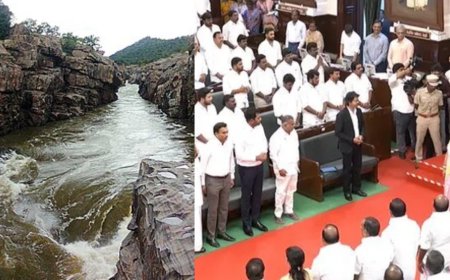 மேகதாது அணைக்கு எதிராக தனித் தீர்மானத்தை முன்மொழிந்த முதலமைச்சர் விஜய்