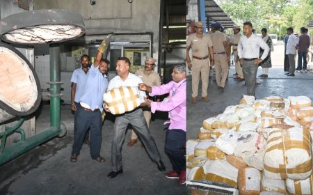 பறிமுதல் செய்யப்பட்ட 2,499 கிலோ கஞ்சா அழிப்பு: சென்னை காவல்துறை நடவடிக்கை  