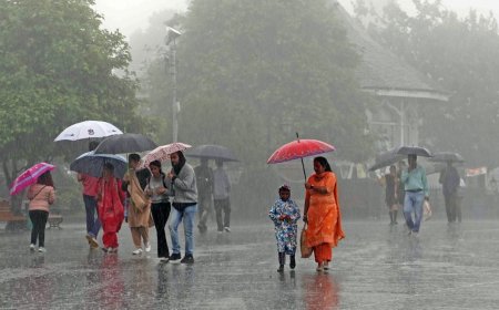 இடி கூடிய கனமழைக்கு வாய்ப்பு... வானிலை ஆய்வு மையம் எச்சரிக்கை...
