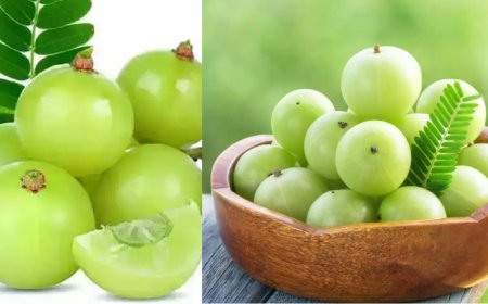 தினமும் ஒரு நெல்லிக்காய்... ஆயுள் முழுவதும் ஆரோக்கியம்!