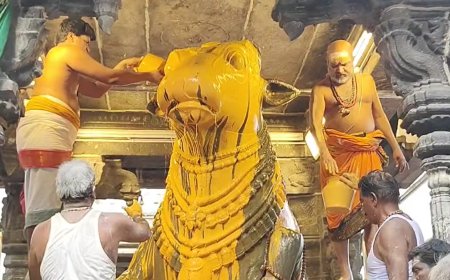 திருவண்ணாமலையில் ஆனி மாத சனி மகா பிரதோஷம் வழிபாடு!