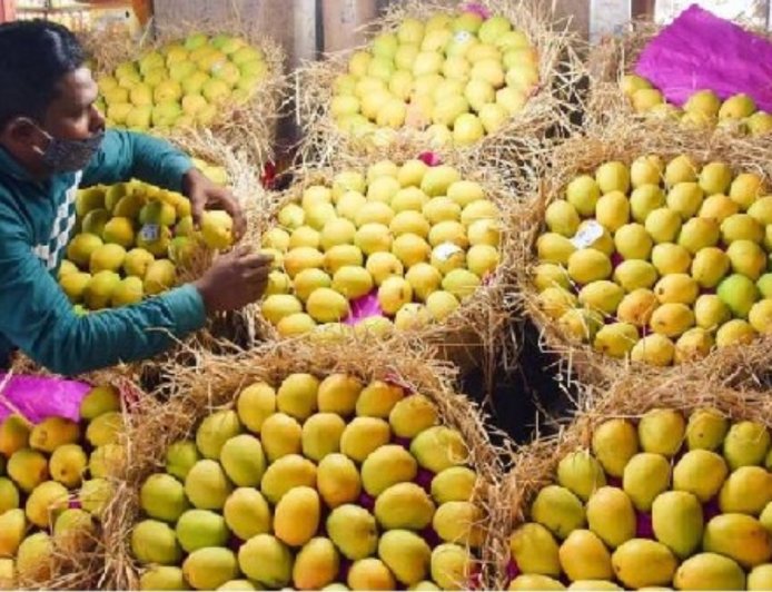 பூச்சிகொல்லி மருந்து புகார்: இந்திய மாம்பழங்களுக்கு நேபாளத்தில் தடை