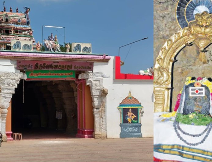 ராஜராஜ சோழன் கட்டிய திருவேங்கைவாசல்... லிங்கத்தில் தெரியும் புலி ரூபம்!