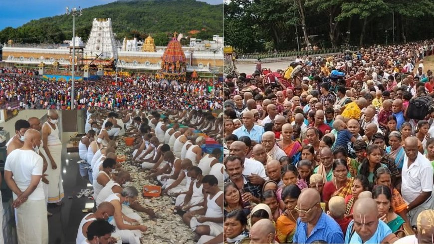 திருப்பதியில் மே மாதம் ரூ.120.28 கோடி உண்டியல் வசூல்: 25 லட்சம் பக்தர்கள் சாமி தரிசனம்