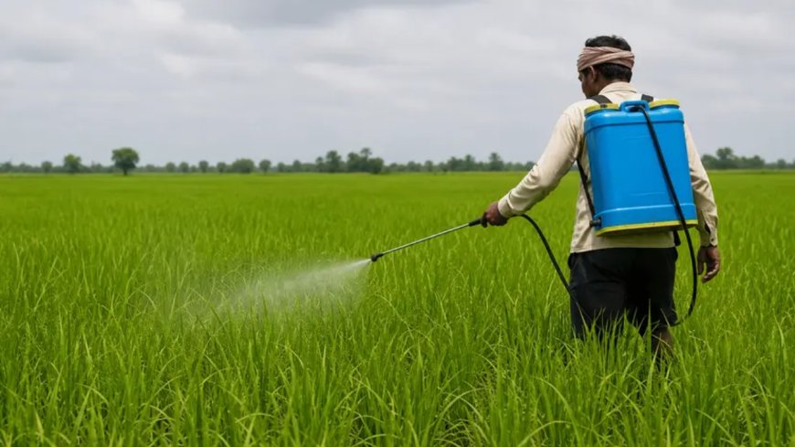 களைக்கொல்லியா... விவசாயிகளின் உயிர்க்கொல்லியா?