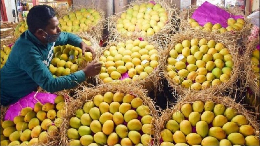 பூச்சிகொல்லி மருந்து புகார்: இந்திய மாம்பழங்களுக்கு நேபாளத்தில் தடை