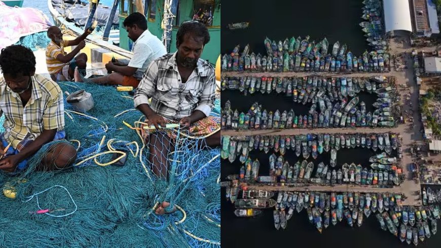 மீன்பிடி தடைக்காலம் நாளையுடன் நிறைவு: கடலுக்கு செல்ல தயாராகும் மீனவர்கள் 