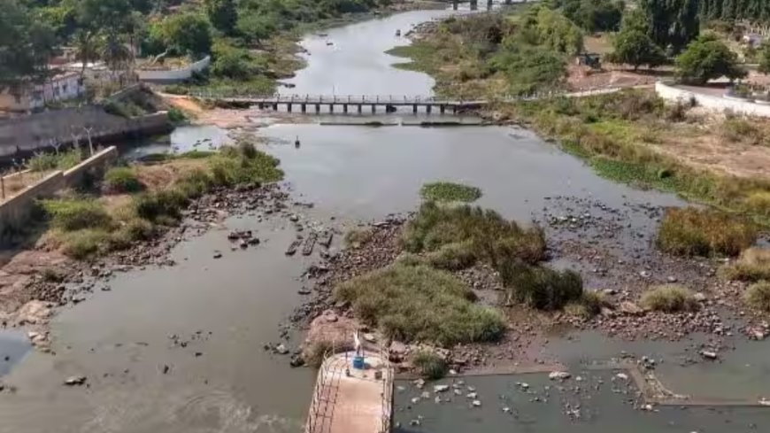 வைகை அணை நீரை குடித்தால் வாந்தி,பேதி,ஏற்படும்!குடிநீர் வாரியம் எச்சரிக்கை......