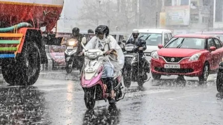 திருநெல்வேலி, கோவை, கன்னியாகுமரி மாவட்டங்களில் கனமழை பெய்யக்கூடும்: வானிலை ஆய்வு மையம் 