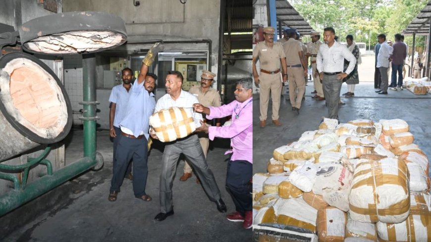 பறிமுதல் செய்யப்பட்ட 2,499 கிலோ கஞ்சா அழிப்பு: சென்னை காவல்துறை நடவடிக்கை  