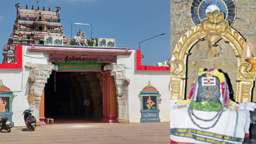 ராஜராஜ சோழன் கட்டிய திருவேங்கைவாசல்... லிங்கத்தில் தெரியும் புலி ரூபம்!
