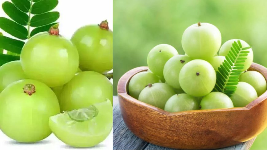 தினமும் ஒரு நெல்லிக்காய்... ஆயுள் முழுவதும் ஆரோக்கியம்!