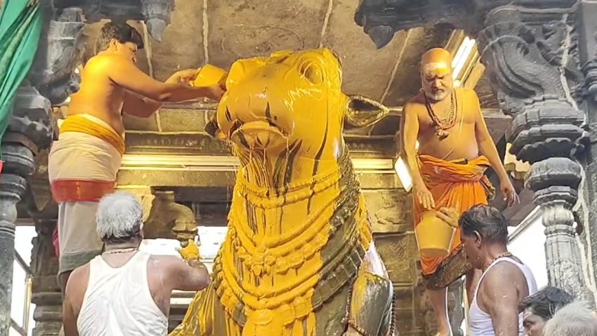 திருவண்ணாமலையில் ஆனி மாத சனி மகா பிரதோஷம் வழிபாடு!