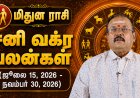 மிதுனம் ராசிக்கான சனி வக்ர பலன்கள்! - யதார்த்த ஜோதிடர் ஷெல்வீ