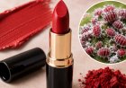 பூச்சிகளில் இருந்து தயாரிக்கப்படுகிறதா Lipsticks?