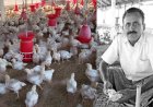 கோழிப்பண்ணை மூலம் மாதந்தோறும் வருமானம்... விவசாயி தங்கவேலின் வெற்றி ரகசியம்!