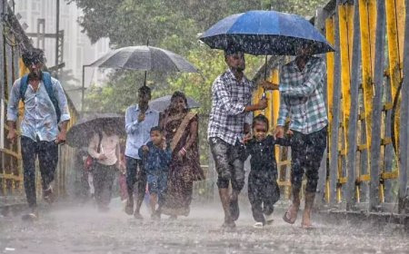 தமிழகத்தில் மழைக்கு வாய்ப்பு... வானிலை ஆய்வு மையம் தகவல்...