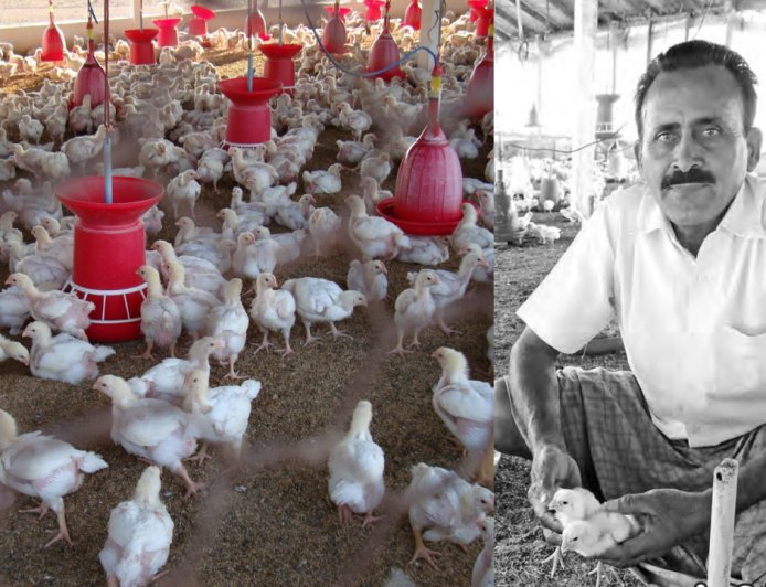 கோழிப்பண்ணை மூலம் மாதந்தோறும் வருமானம்... விவசாயி தங்கவேலின் வெற்றி ரகசியம்!