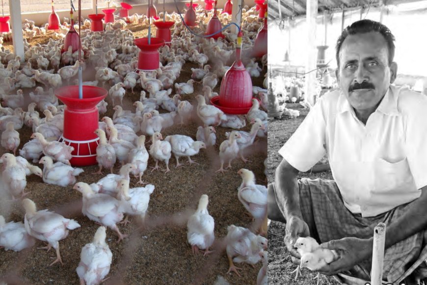 கோழிப்பண்ணை மூலம் மாதந்தோறும் வருமானம்... விவசாயி தங்கவேலின் வெற்றி ரகசியம்!