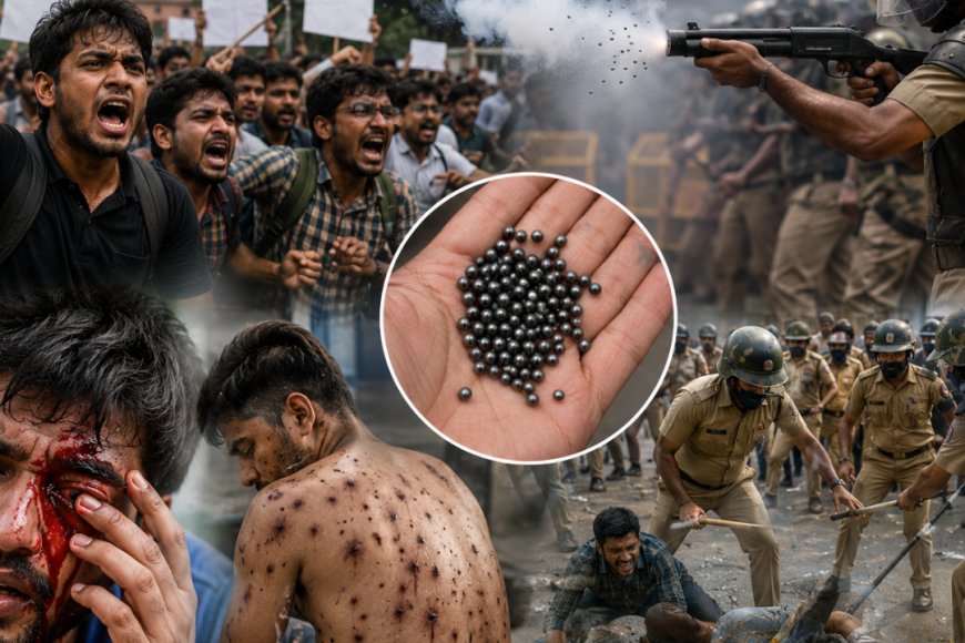 மாணவர்கள் மீது வீசப்பட்ட பெல்லட் குண்டுகள் ... அதன் ஆபத்துகள் இவ்வளவா?
