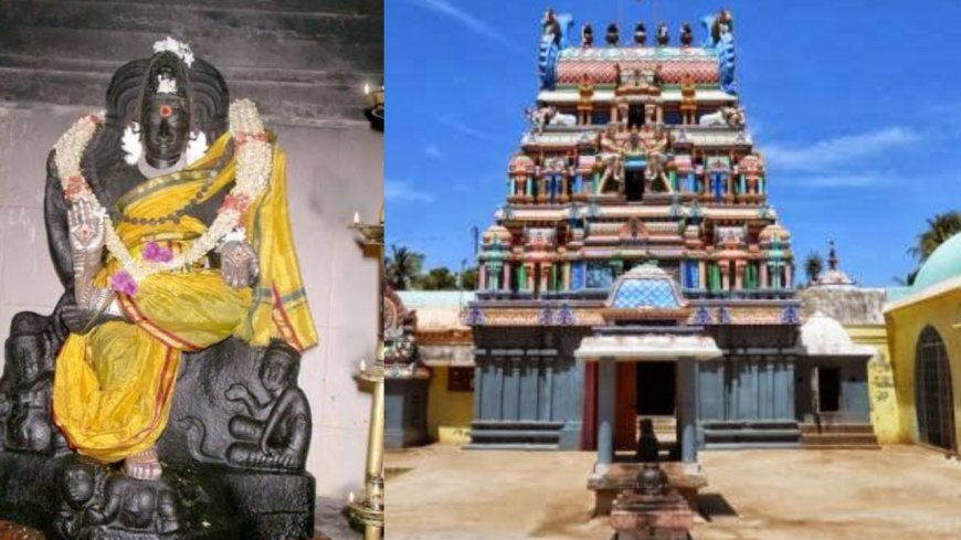 அம்பாளுக்கே மந்திர உபதேசம் செய்த தட்சிணாமூர்த்தி... ஓமாம்புலியூரின் அபூர்வ மகிமை!