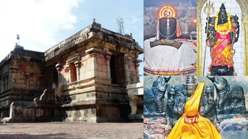 மங்களம் அருளும் சிவபூரணி... சனிதோஷம் தீர்க்கும் அதிசய தலம்!