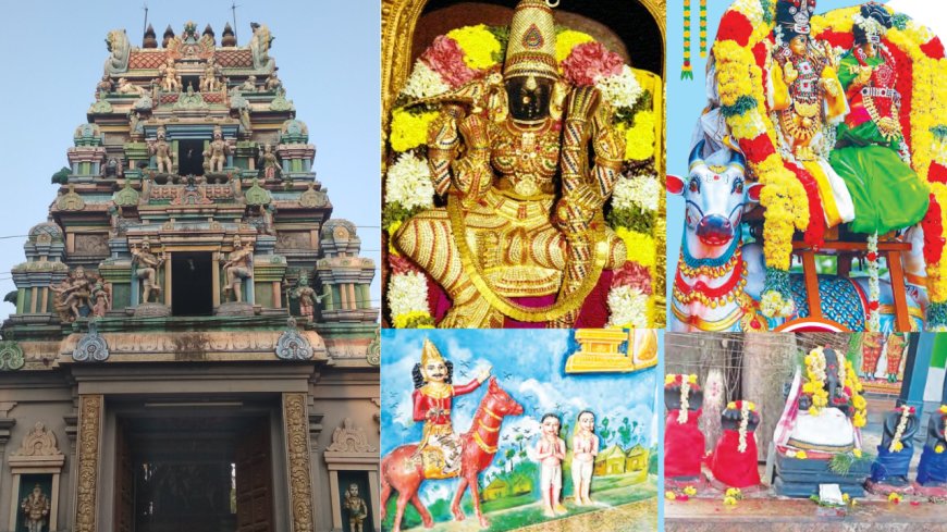 சர்வ மங்களம் அருளும் நங்கநல்லூர் சர்வமங்களா தேவி!