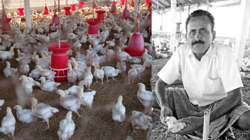 கோழிப்பண்ணை மூலம் மாதந்தோறும் வருமானம்... விவசாயி தங்கவேலின் வெற்றி ரகசியம்!