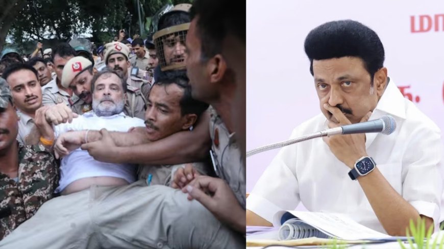 ராகுலுக்காக குரல் கொடுக்காத திமுக? அரசியலா? அதிருப்தியா?
