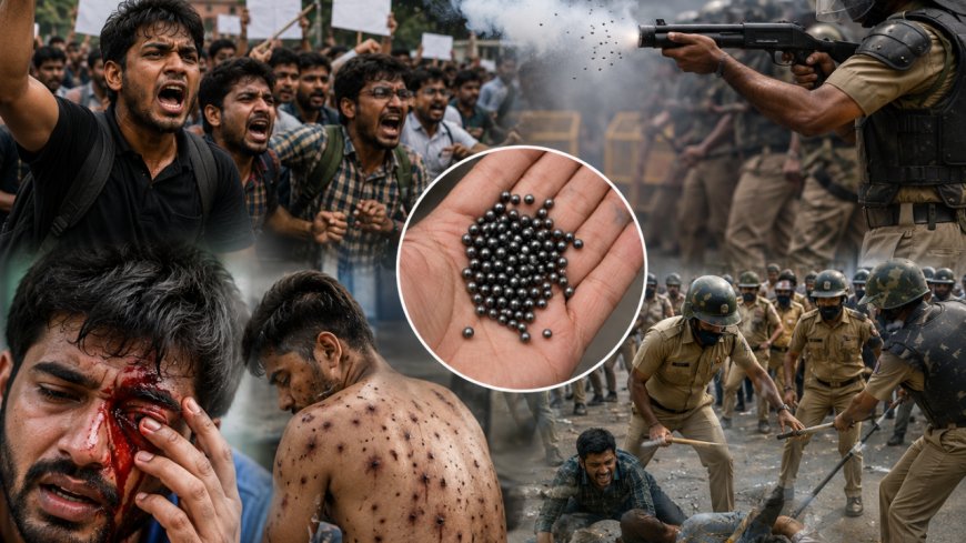 மாணவர்கள் மீது வீசப்பட்ட பெல்லட் குண்டுகள் ... அதன் ஆபத்துகள் இவ்வளவா?