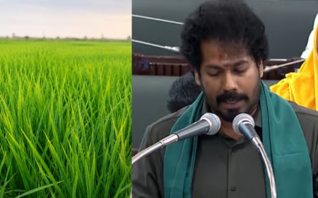 வேளாண் பட்ஜெட் தாக்கல் : விவசாயிகளுக்கான முக்கிய அறிவிப்புகள் வெளியாகுமா?
