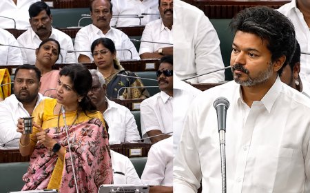 விஜய் செய்யறது தேவையில்லாதது...... அட்வைஸ் கொடுத்த சவுமியா!