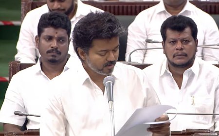 FAIR DELIMITATION: விஜய்யின் தனித்தீர்மானத்தில் இருக்குற  3 விஷயத்த கவனிச்சீங்களா?