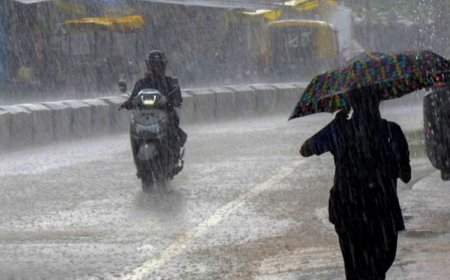 19 மாவட்டங்களில் கனமழைக்கு எச்சரிக்கை... வானிலை ஆய்வு மையம் தகவல் !