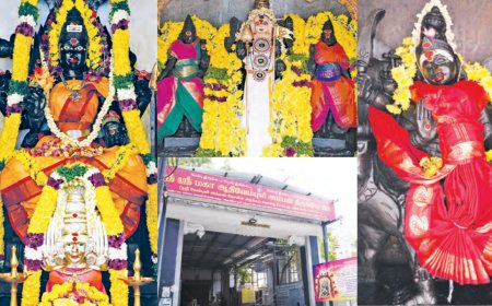 வேம்பின் கீழ் சிரித்த அம்மன்... கஷ்டங்களைப் போக்கும் வேம்புலி அம்மன்!