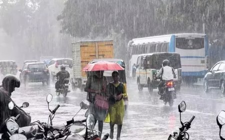 வானிலை தகவல்.....எந்தெந்த மாவட்டங்களுக்கு கனமழை எச்சரிக்கை?