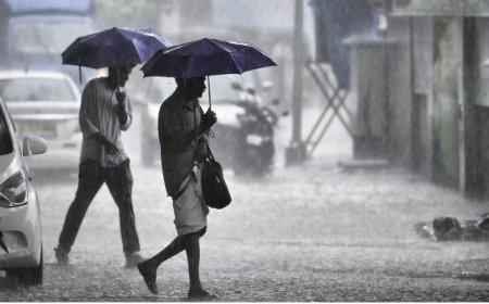 எந்தெந்த மாவட்டங்களுக்கு கனமழை எச்சரிக்கை....வானிலை அலர்ட்!