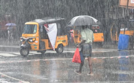 எந்த மாவட்டங்களில் மழைக்கு வாய்ப்பு....வானிலை எச்சரிக்கை!